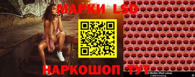 Альфа ПВП Заводоуковск