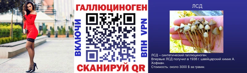 Галлюциногенные грибы Cubensis  Нижневартовск 
